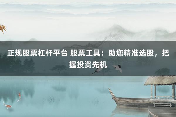 正规股票杠杆平台 股票工具：助您精准选股，把握投资先机