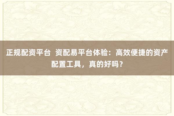 正规配资平台  资配易平台体验：高效便捷的资产配置工具，真的好吗？