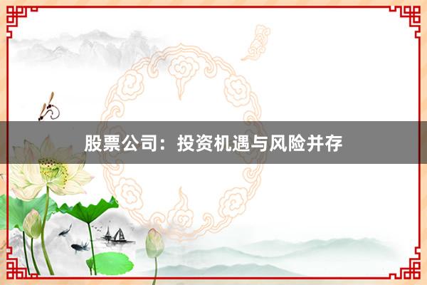 股票公司：投资机遇与风险并存