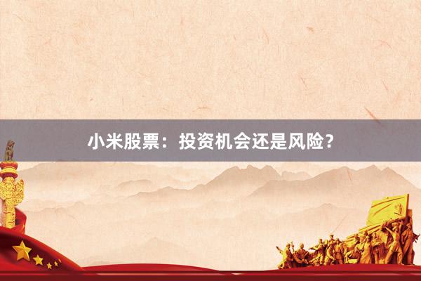 小米股票：投资机会还是风险？