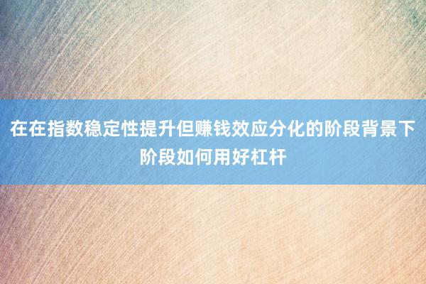 在在指数稳定性提升但赚钱效应分化的阶段背景下阶段如何用好杠杆