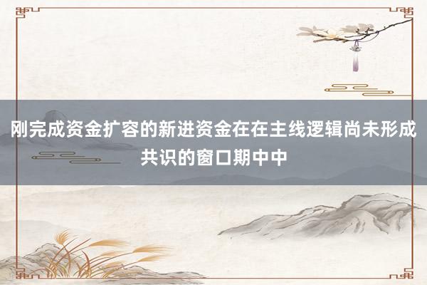刚完成资金扩容的新进资金在在主线逻辑尚未形成共识的窗口期中中
