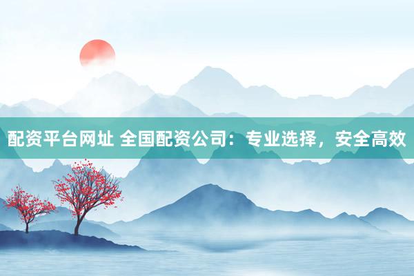 配资平台网址 全国配资公司：专业选择，安全高效