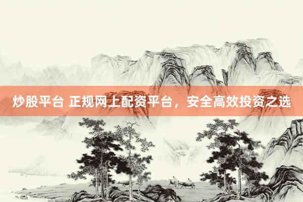 炒股平台 正规网上配资平台，安全高效投资之选