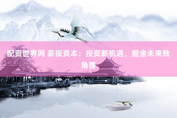 配资世界网 豪极资本:投资新机遇,掘金未来独角兽